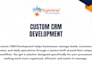 provide custom CRM development tailored to your business